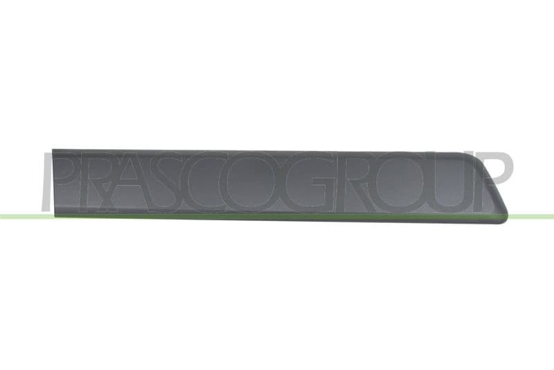 Elemente decorative/protectie, portiera PRASCO FT9071453