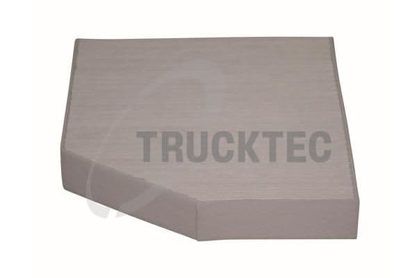 Filtru, aer habitaclu TRUCKTEC AUTOMOTIVE 02.59.155