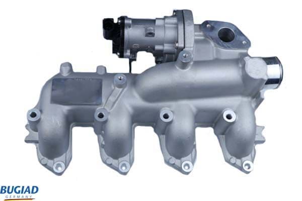 Supapa EGR BUGIAD BGR13094