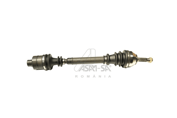 Planetara ASAM AUTOMOTIVE 30245