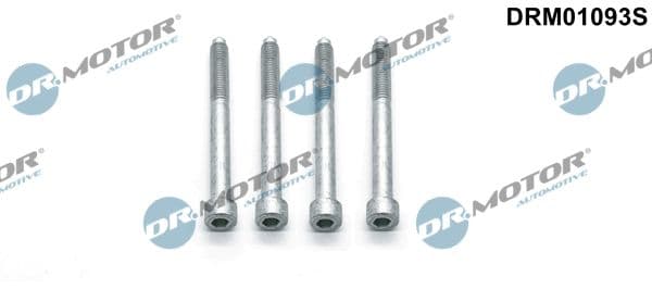 Surub, suport injector Dr.Motor Automotive DRM01093S