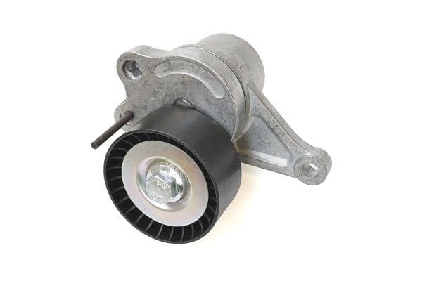 intinzator,curea transmisie ASAM AUTOMOTIVE 101296