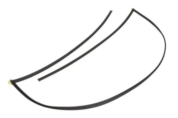 Garnitura, parbriz BLIC 5703-04-6037932Q