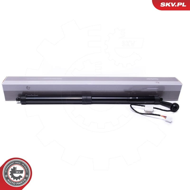 Motor electric, haion ESEN SKV 52SKV955