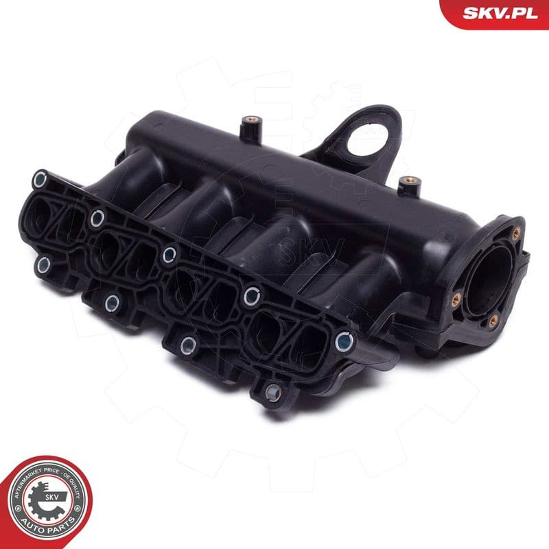 Modul conducta admisie ESEN SKV 49SKV081