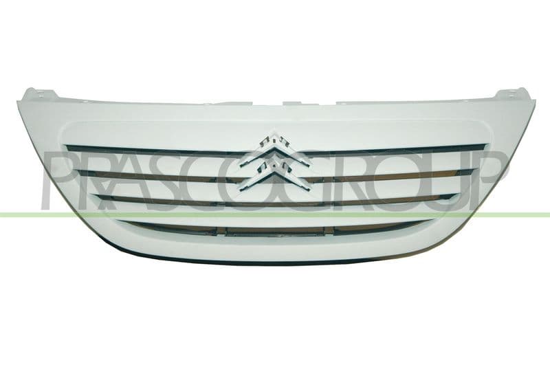 Grila radiator PRASCO CI3202001
