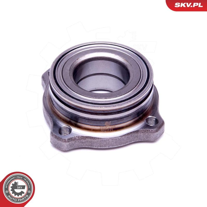 Set rulment roata ESEN SKV 29SKV389