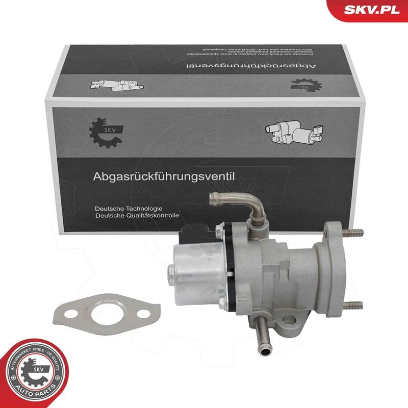 Supapa EGR ESEN SKV 14SKV319