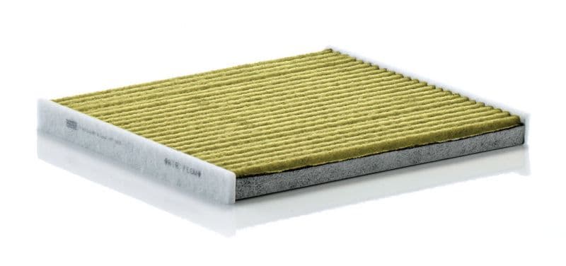 Filtru, aer habitaclu MANN-FILTER FreciousPlus FP 1828
