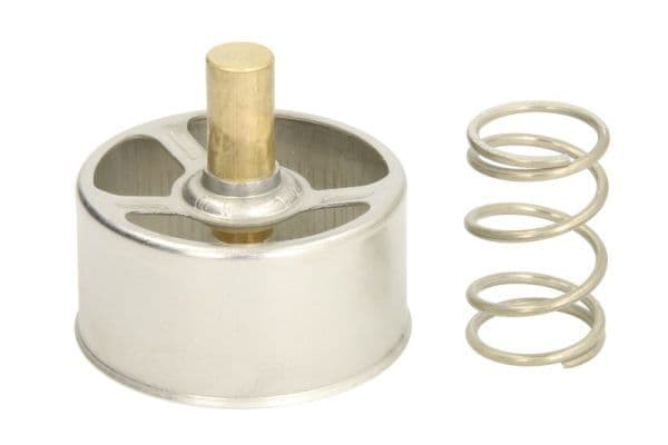 termostat,lichid racire THERMOTEC D2RV005TT