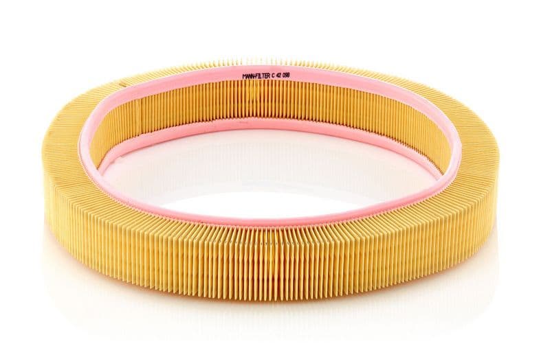 Filtru aer MANN-FILTER C 42 098