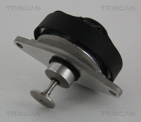Supapa EGR TRISCAN 8813 24202