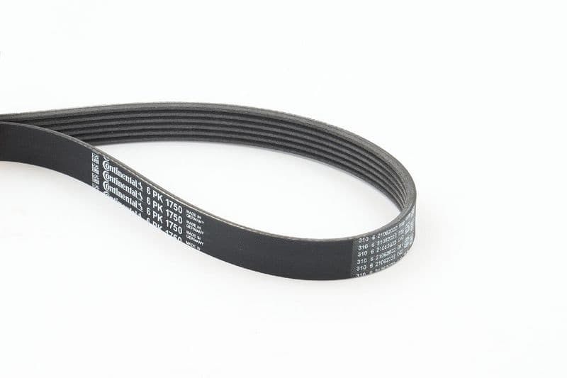 Curea transmisie cu caneluri CONTINENTAL CTAM 6PK1750