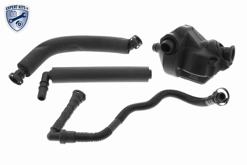 Set reparatie, aerisire baie ulei VAICO V20-0008