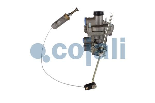 Releu, ALB COJALI 2220503