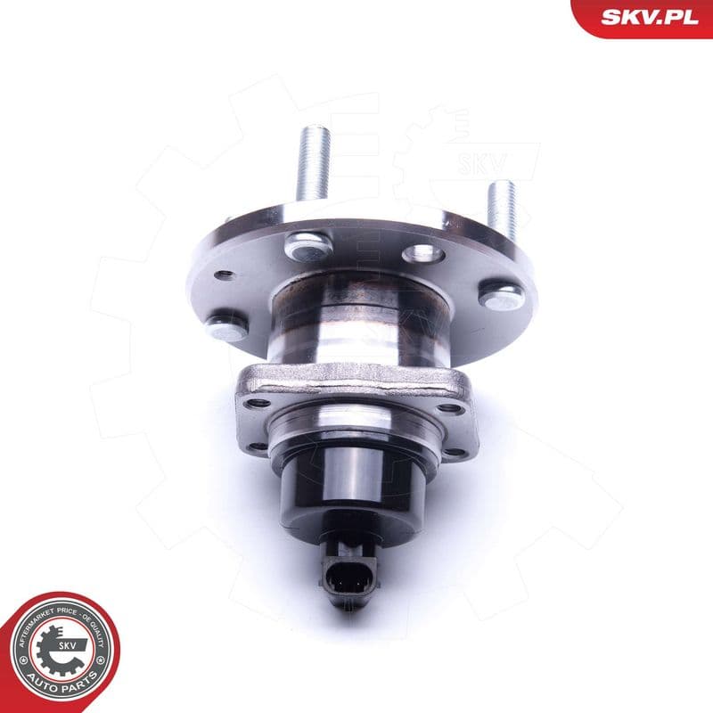 Set rulment roata ESEN SKV 29SKV274