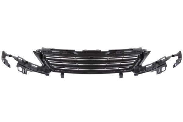 Grila radiator BLIC 6502-07-5519992Q