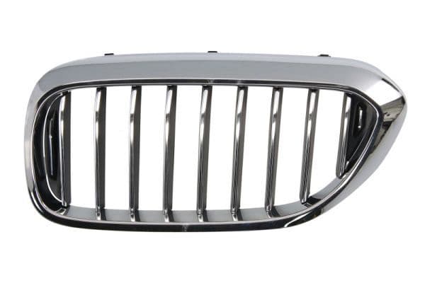 Grila radiator BLIC 6502-07-0068993P