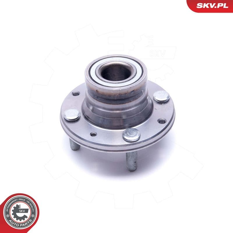 Set rulment roata ESEN SKV 29SKV512