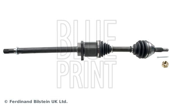 Planetara BLUE PRINT ADBP890054