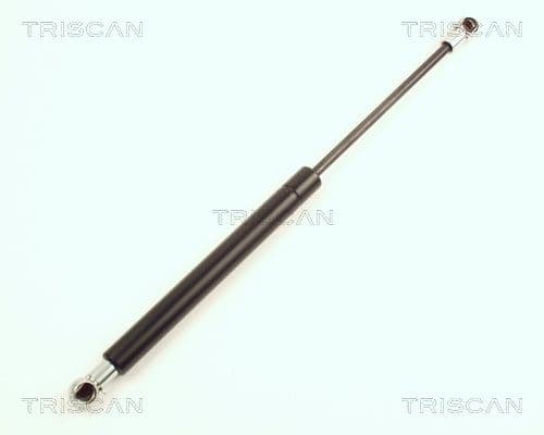 Amortizor portbagaj TRISCAN 8710 23204