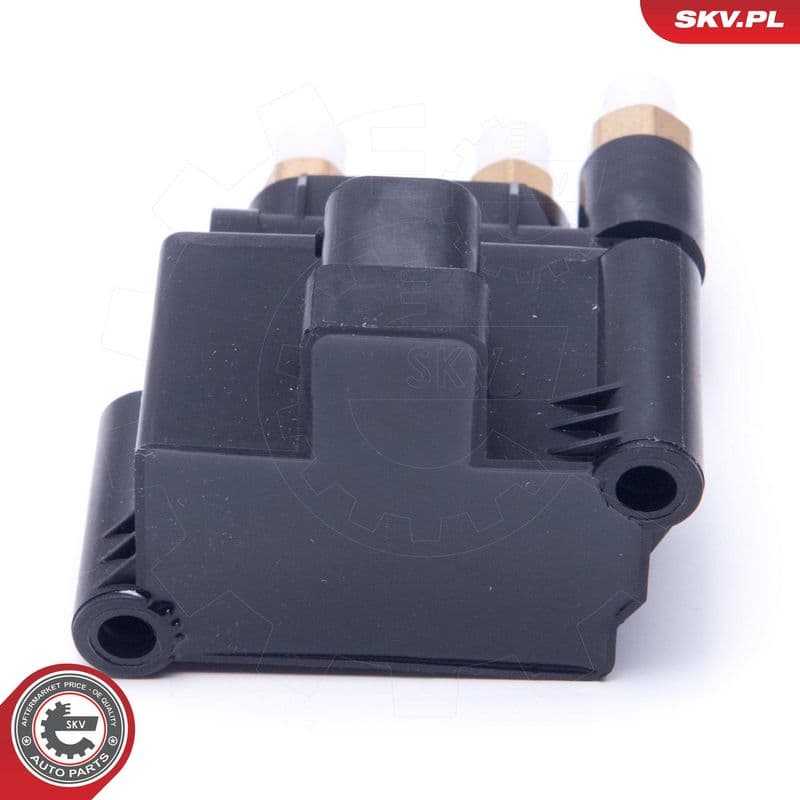 supapa,sistem supraalimentare ESEN SKV 93SKV804