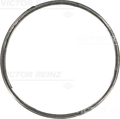 Garnitura, galerie evacuare REINZ 71-37878-00
