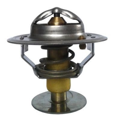 termostat,lichid racire THERMOTEC D2CU002TT