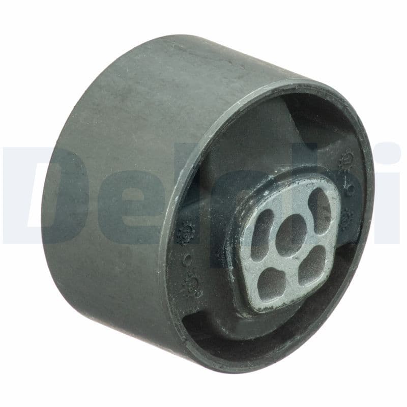 Suport motor DELPHI TEM089