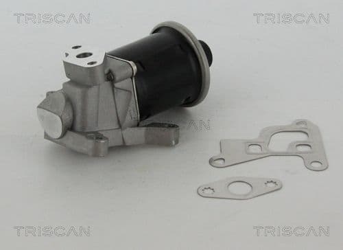 Supapa EGR TRISCAN 8813 29100