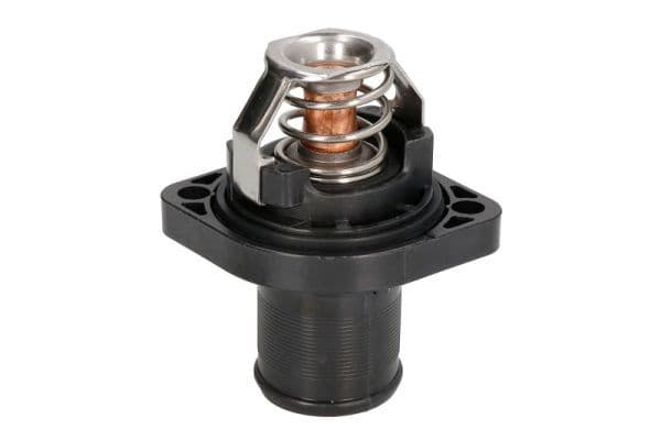 termostat,lichid racire THERMOTEC D2C003TT
