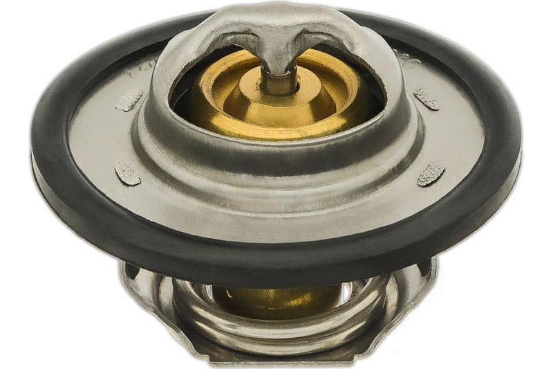 termostat,lichid racire TOPRAN 700 171