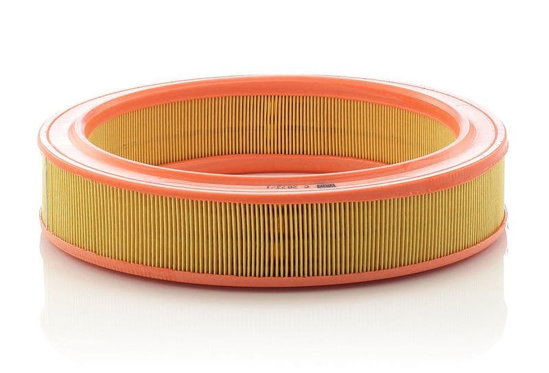 Filtru aer MANN-FILTER C 2873/1