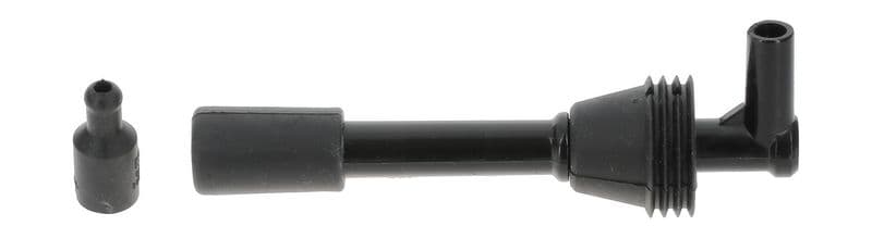 Plug, spark plug