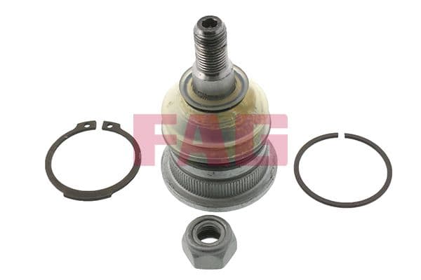 Pivot Schaeffler FAG 825 0251 10