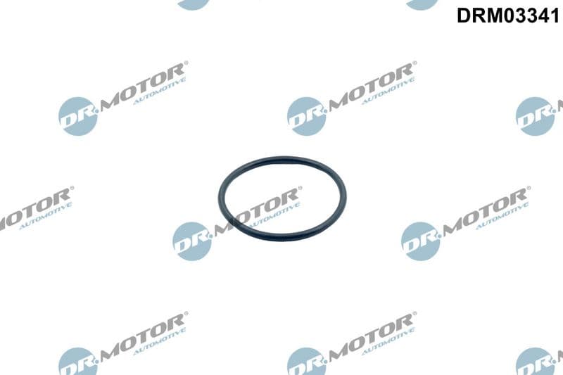 Garnitura termostat Dr.Motor Automotive DRM03341