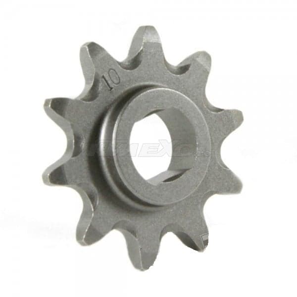 Pinion fata Z15