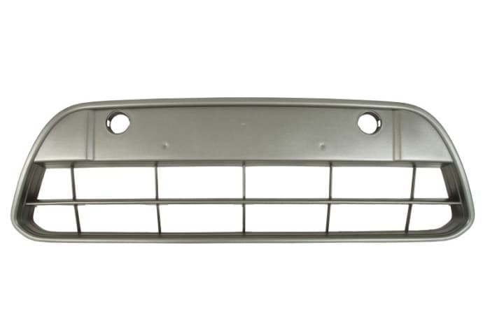 Grila bara Fata platina potrivit FORD TOURNEO CONNECT, TRANSIT CONNECT, TRANSIT TOURNEO 06.02-08.14 06.09-09.13