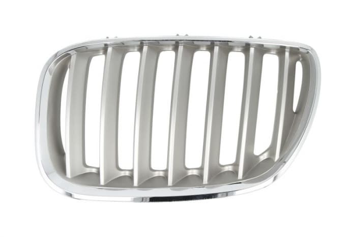 Grila fata stanga titanium BMW X5 E53 intre 2003-2006