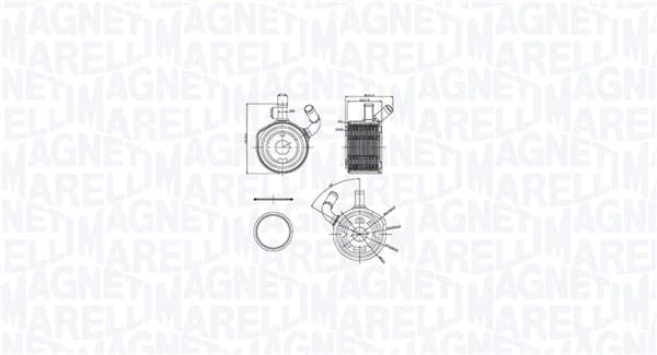 Radiator ulei potrivit DACIA LOGAN, LOGAN EXPRESS, LOGAN MCV; RENAULT CLIO II, CLIO II HATCHBACK, CLIO III, GRAND SCENIC II, KANGOO, KANGOO EXPRESS, LOGAN I, MEGANE II, MEGANE II KOMBI 1.5D 06.01-