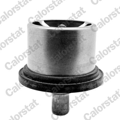 Termostat lichid racire (80 C, cu garnitura) potrivit DAF 75, 85, 95; MAN TGS I, TGX I; NEOPLAN CITYLINER, JETLINER, SKYLINER, SPACELINER, TRANSLINER; BMW 3 (E90), 3 (E92) D2066LF22-WS315M 09.87-