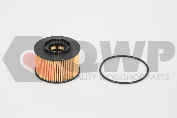Filtru ulei QWP WOF111